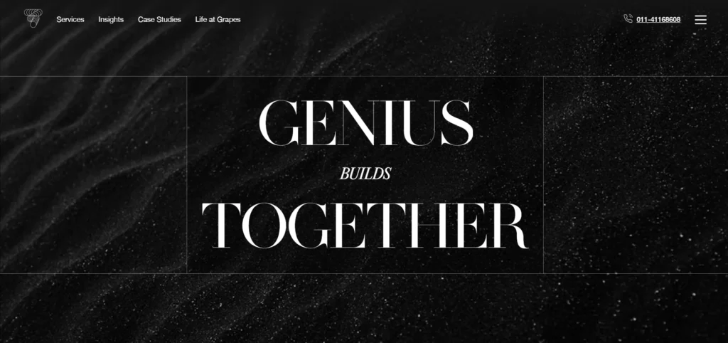 Digital Marketing Company in Delhi - Grapes