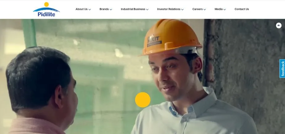 manufacturing companies in vadodara - pidilite